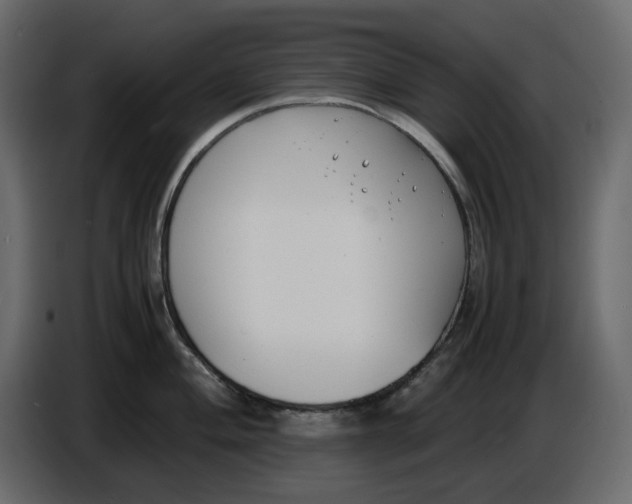 X0000086911004200705071300