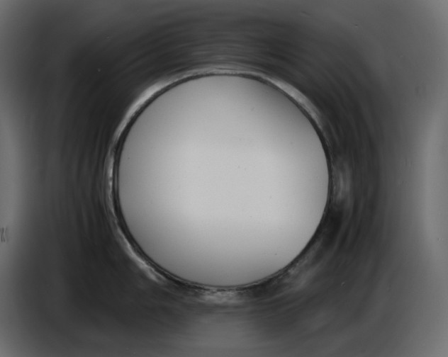 X0000086911006200705071300