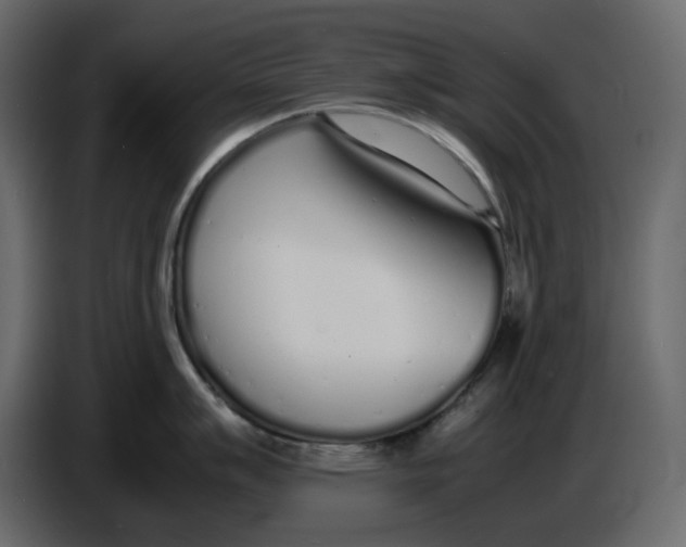 X0000086911007200705071300