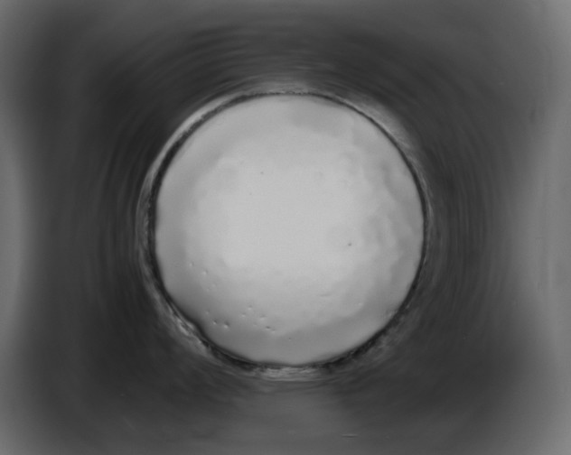 X0000086911008200705071300