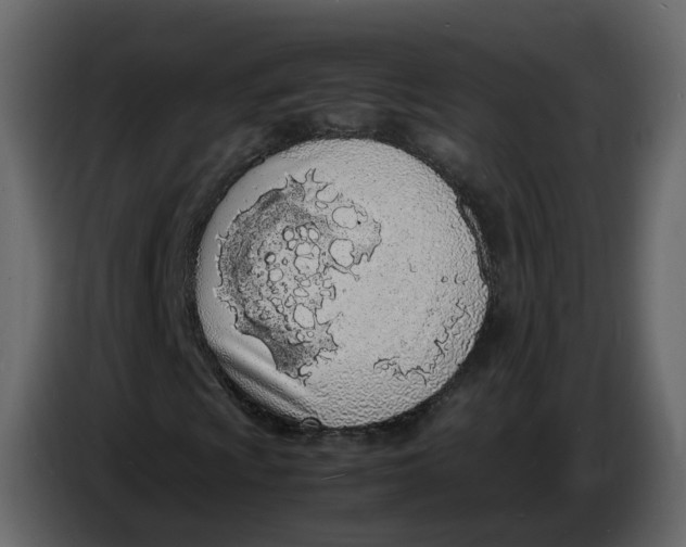 X0000086911009200705071259