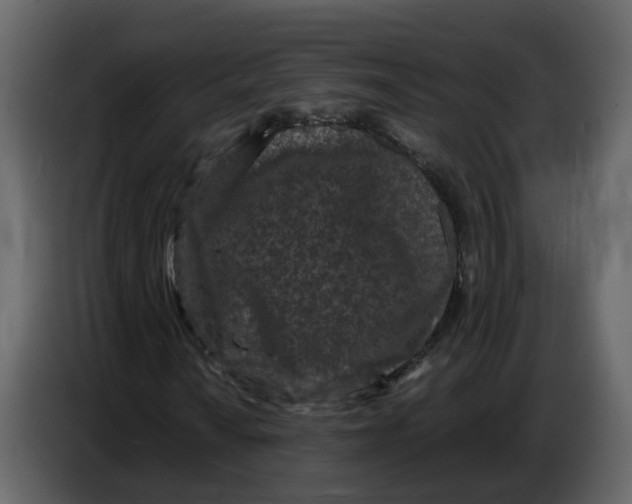 X0000086911010200705071259