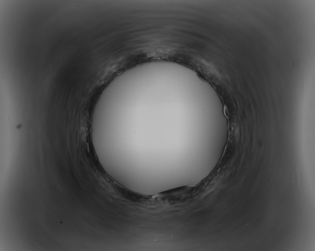 X0000086911012200705071259