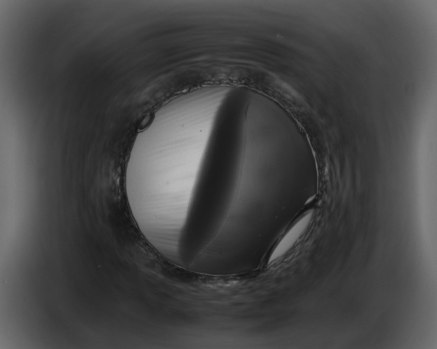 X0000086911013200705071259