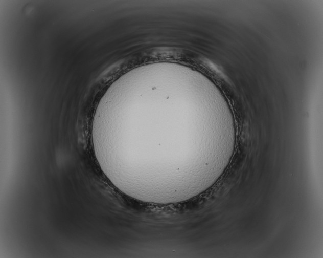 X0000086911015200705071259