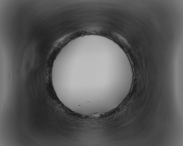 X0000086911016200705071259