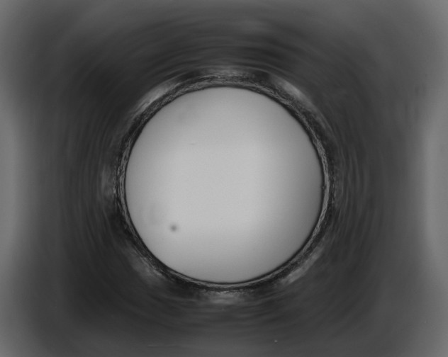 X0000086911017200705071259