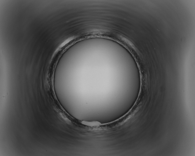 X0000086911018200705071259