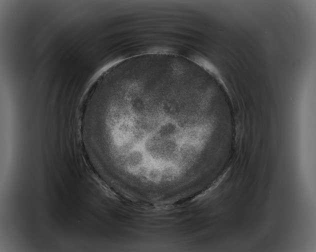 X0000086911019200705071259