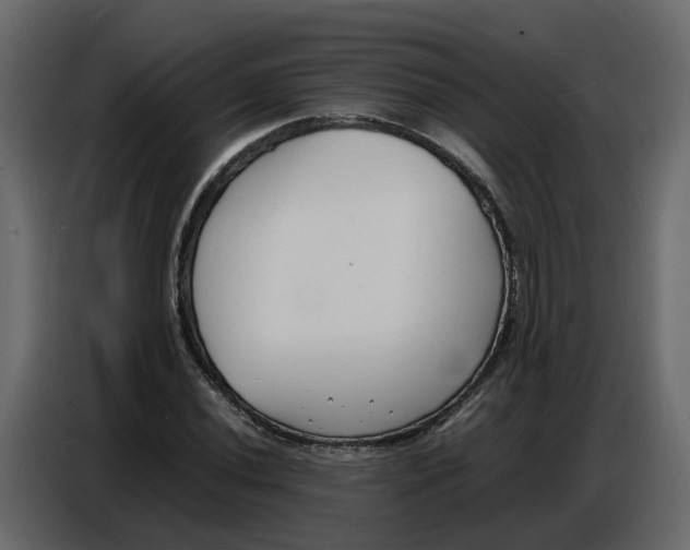 X0000086911020200705071259