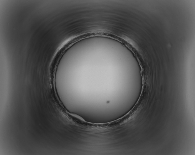 X0000086911022200705071259