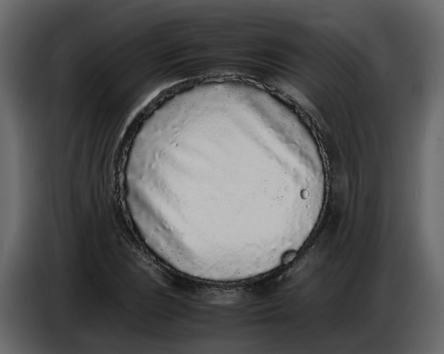 X0000086911023200705071259