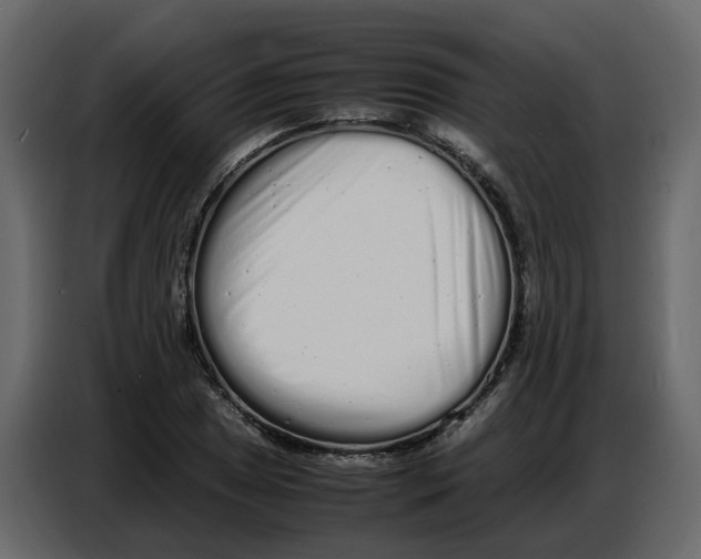 X0000086911025200705071259