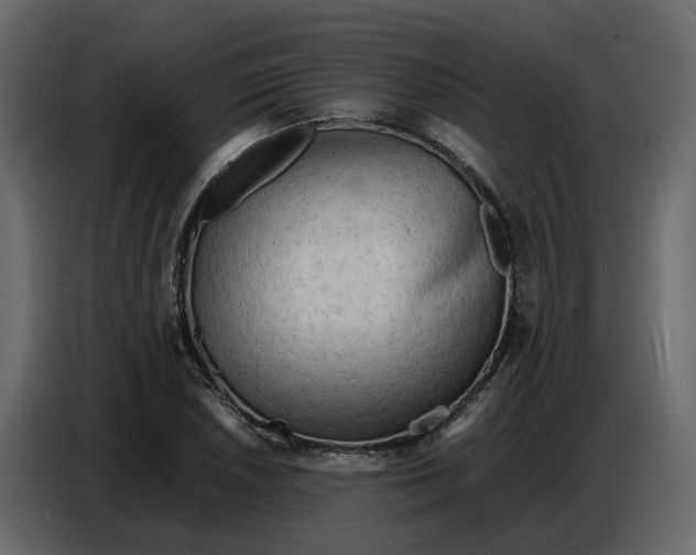 X0000086911026200705071259