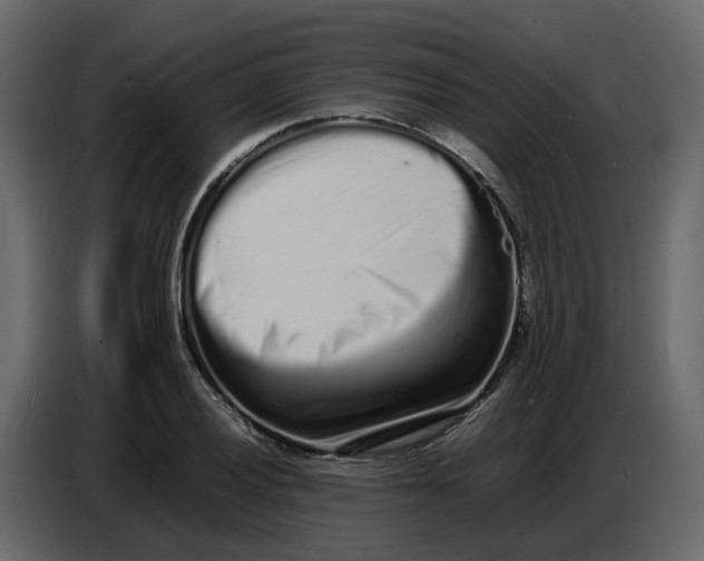 X0000086911028200705071259