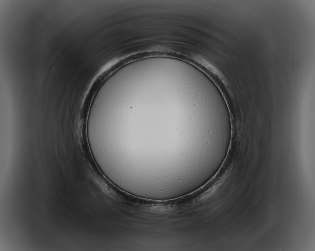 X0000086911029200705071259