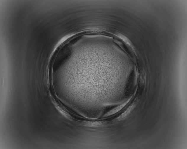 X0000086911030200705071259