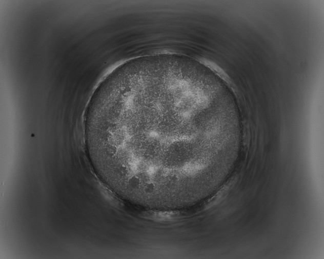 X0000086911031200705071259