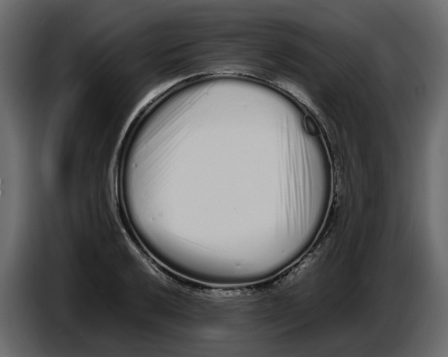 X0000086911032200705071259