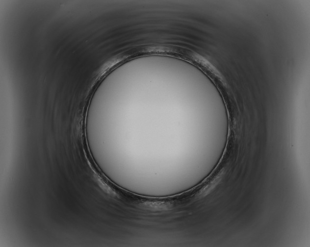 X0000086911033200705071259