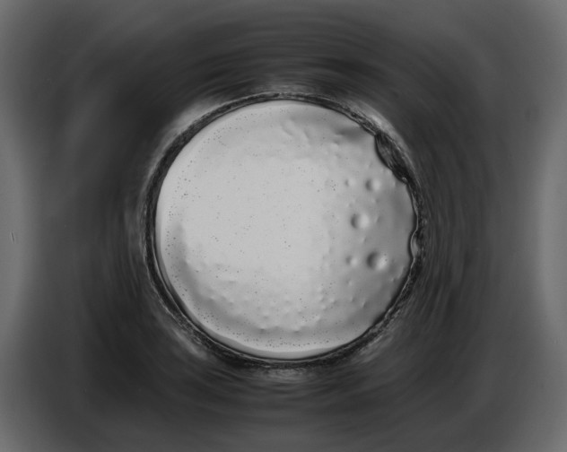 X0000086911035200705071259