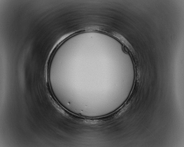 X0000086911036200705071259