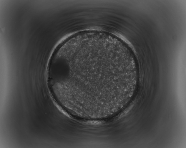 X0000086911037200705071259