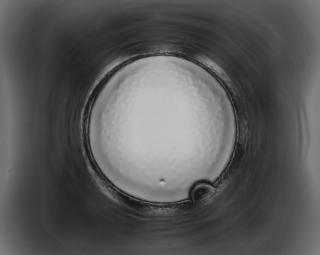 X0000086911039200705071259