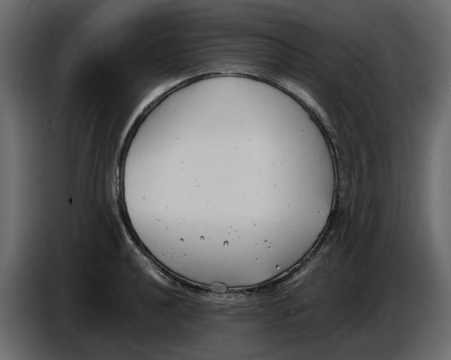 X0000086911040200705071259