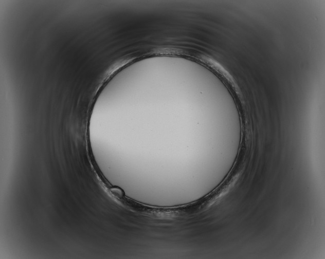 X0000086911041200705071259