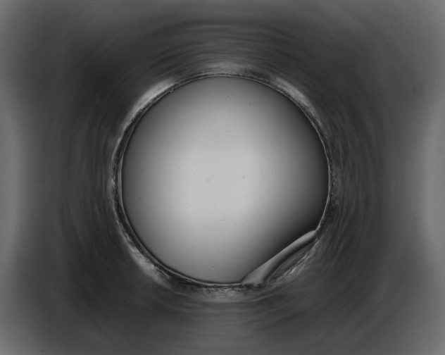 X0000086911042200705071259