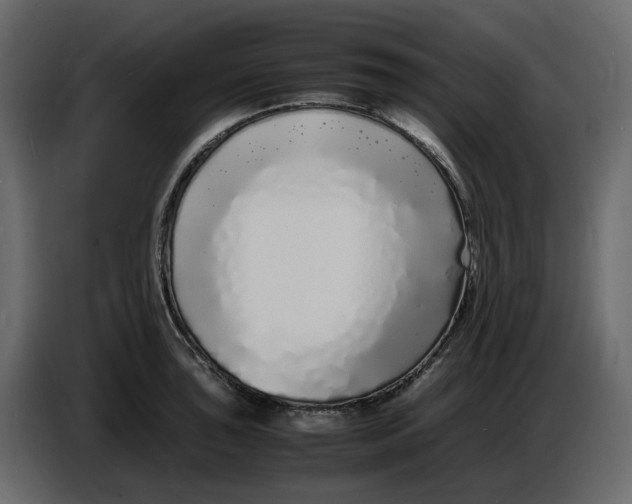 X0000086911043200705071259