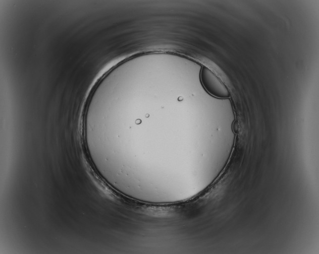 X0000086911044200705071259