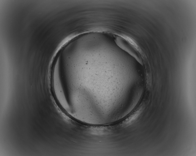 X0000086911046200705071300