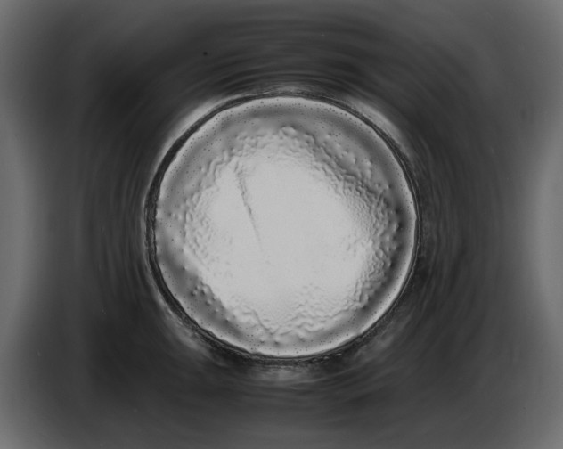 X0000086911047200705071300