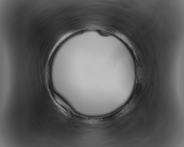 X0000086911048200705071300