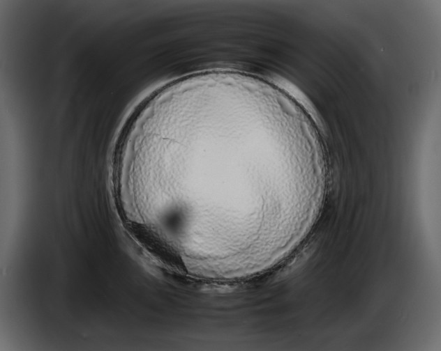 X0000086911051200705071300