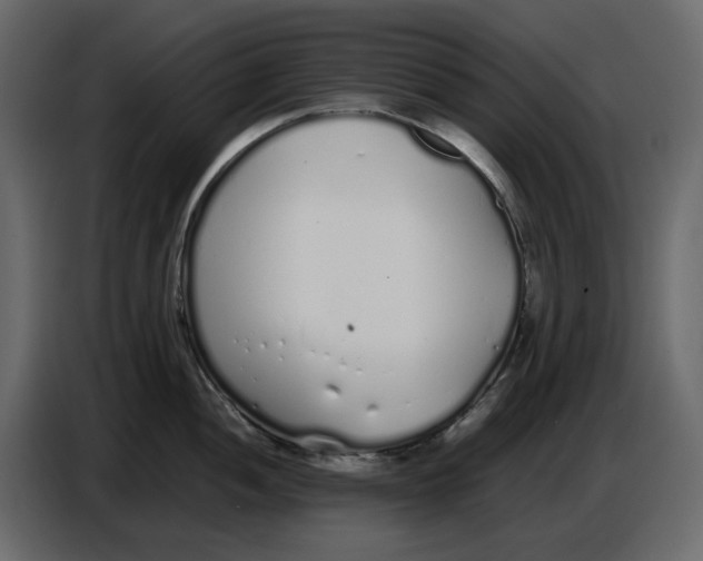 X0000086911052200705071300