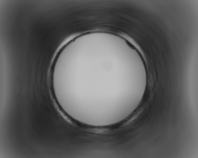 X0000086911053200705071300