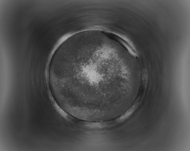 X0000086911054200705071300