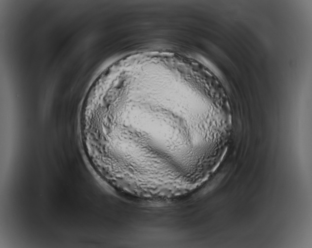 X0000086911055200705071300