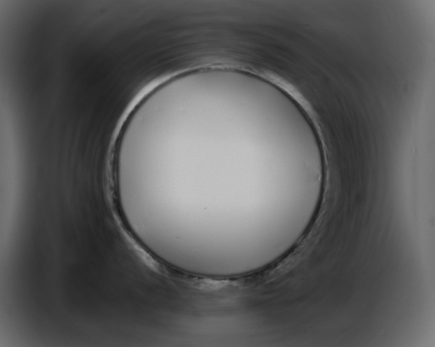 X0000086911056200705071300