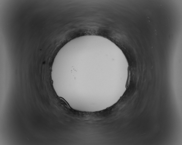 X0000086911057200705071259