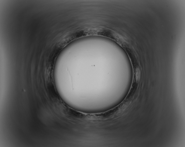 X0000086911059200705071259