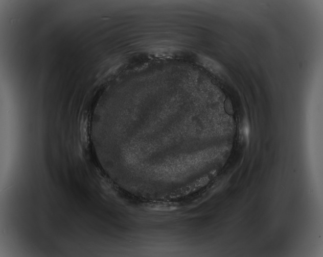 X0000086911060200705071259