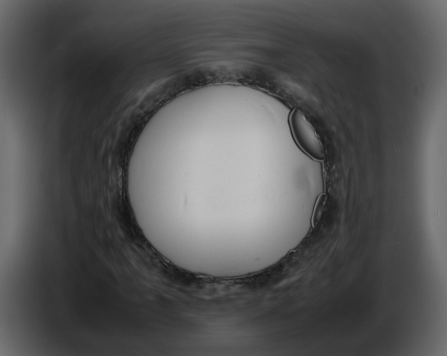 X0000086911061200705071259