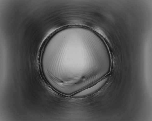 X0000086911068200705071259