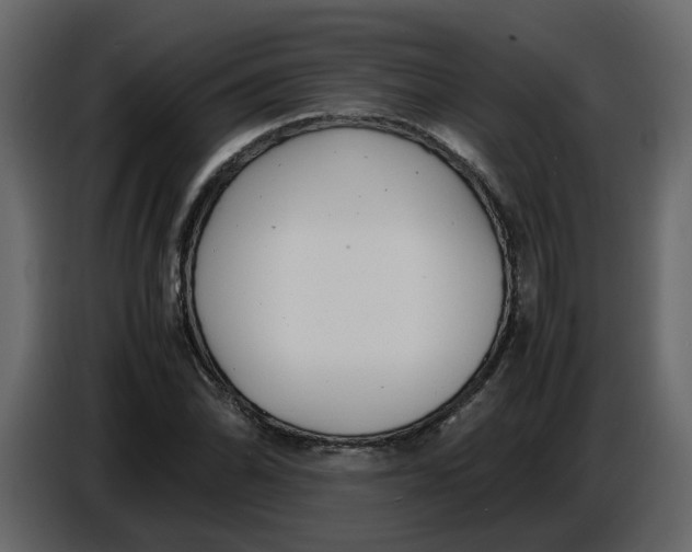 X0000086911070200705071259