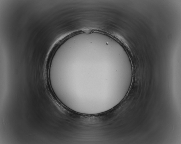 X0000086911072200705071259