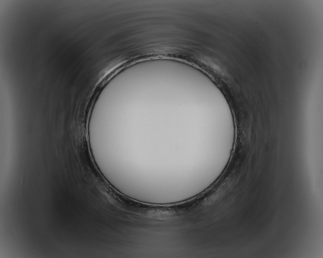 X0000086911073200705071259